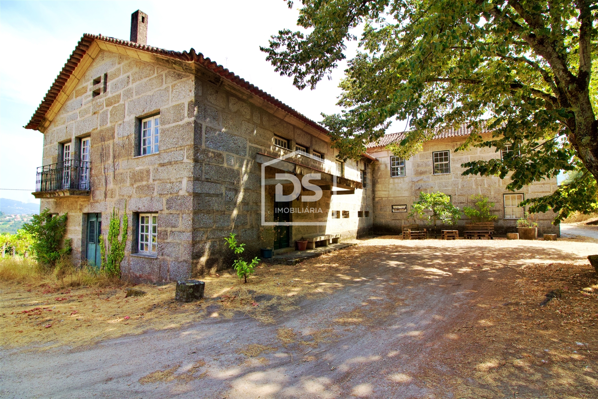 Quinta